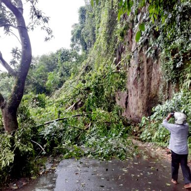 Pohon Tumbang, Akses jalan Batu Kota Bawah Terganggu