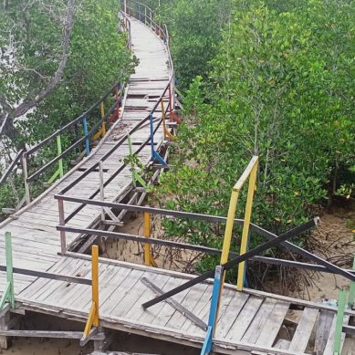 Jembatan Wisata Mangrove Pocin, Mulai Rusak Terkesan Tidak Terurus