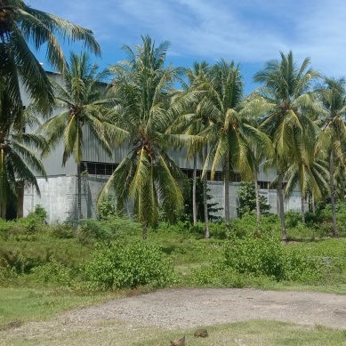 Di Duga Ada Penggelapan PAD Pada Kawasan Industri Benih Pohuwato