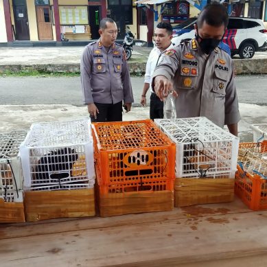 Penyelundup Satwa Dilindungi Diringkus Polres Boalemo