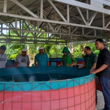 Dinas Perikanan Boalemo Serahkan Bantuan Budi Daya Ikan Sistem Bioflok