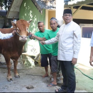 Idul Adha 2023, Polda Gorontalo Siapkan 75 Ekor Hewan Qurban.