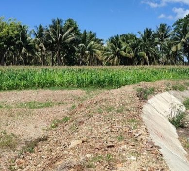 Pekerjaan Irigasi Pada 3 Desa Di Kabupaten Pohuwato Tuai Sorotan