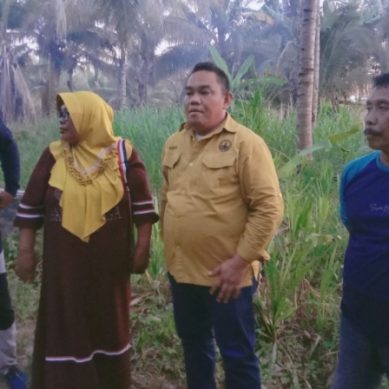 Program RHL Di Pohuwato Ditinjau Langsung Kadis DLH Gorontalo  Dan BPDAS – HL Bone Bolango