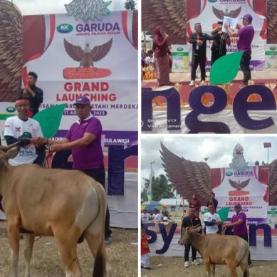 Grand Launching Bersama Garuda Petani Merdeka Se Sulawesi Di hadiri 10.000 Petani