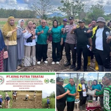 Di Perkenalkan Pada Petani Pohuwato, Hari Ini Penanaman Perdana Kenaf Di Motolohu Randangan 