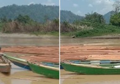 Praktek Ilegal logging Tumbuh Subur Di Taluditi