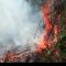Hutan Lindung Trans Sulawesi Marisa Terbakar
