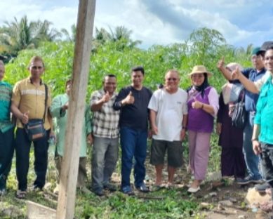 PT KING PUTRA TERATAI, PANEN PERDANA TANAMAN KENAF  DI RANDANGAN