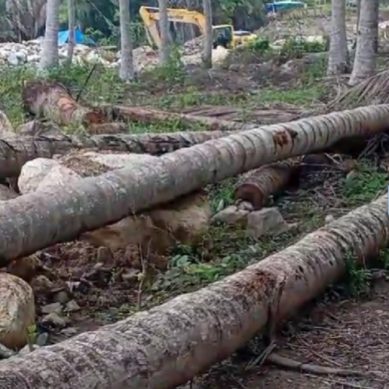 Kerusakan Lingkungan Di Desa Karya Baru Dengilo, Di Duga Ada Keterlibatan Oknum Kades