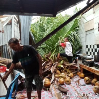 Rumah Warga Wanggarasi Barat Tertimpa Pohon Kelapa