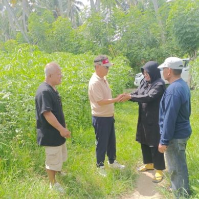 Buyer Kenaf Asal Korea Sambangi PT King Putra Teratai Di Pohuwato