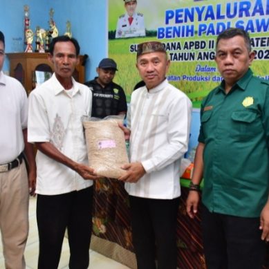 Bupati Saipul Mbuinga Serahkan Bantuan Benih Padi Sawah  Kelompok Tani Duhiadaa