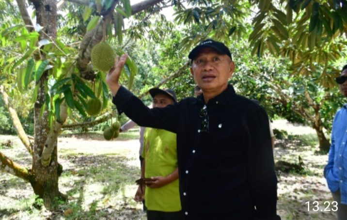 Ajak Para Camat Ke Parimo, Bupati Minta Adopsi Inovasi Pemilik Agrowisata Buah Tirta Rahayu