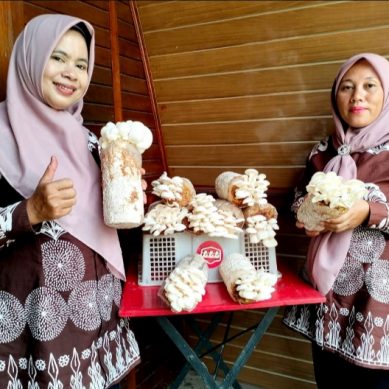 Bukit Asam (PTBA) Bantu Warga Desa Bangkitkan Usaha Jamur Tiram