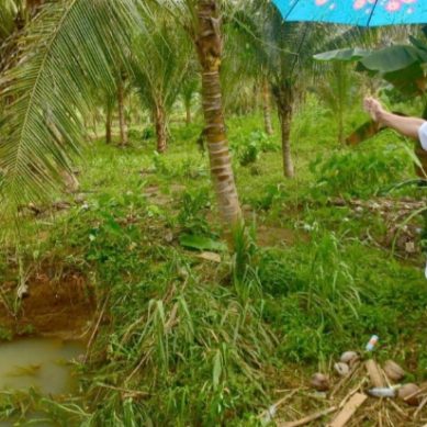 Bupati Saipul Mbuinga Tinjau Lokasi Banjir  4 Desa Di Kecamatan Taluditi