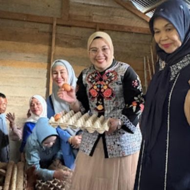 Miliki Program Pertenakan Ayam Petelur Yang di Kelola Desa, Hj Lidyawati Kunjungi Langsung Desa Markatitam