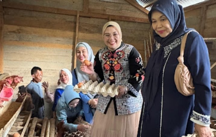 Miliki Program Pertenakan Ayam Petelur Yang di Kelola Desa, Hj Lidyawati Kunjungi Langsung Desa Markatitam