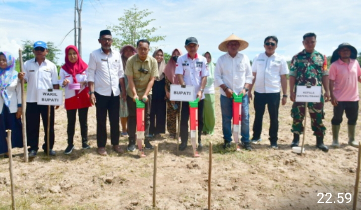 Penanaman  Padi Gogo Kembali Di Laksanakan Di Paguat