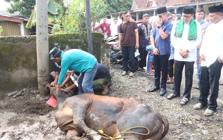 Polres Lahat Polda Sumsel Qurban 10 Ekor Sapi dan 23 Ekor Kambing 