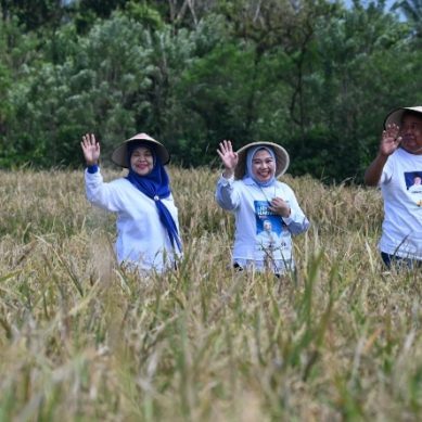 MASYARAKAT JARAI AREA SIAP MENANGKAN HD-CU DAN BERLIAN