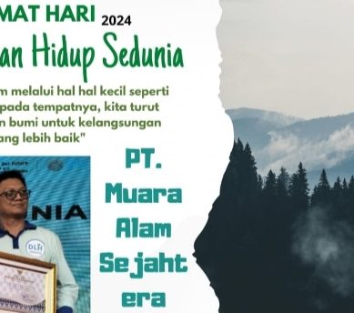 Momentum Hari Lingkungan Hidup Sedunia Tahun 2024, PT. Muara Alam Sejahtera Raih Penghargaan : Sebagai Mendukung ProKlim Tahun 2023- 2024