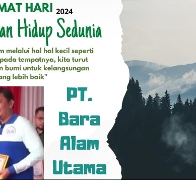 Momentum Hari Lingkungan Hidup Sedunia Tahun 2024, PT. Bara Alam Utama Raih Penghargaan : Sebagai Mendukung ProKlim Tahun 2023- 2024