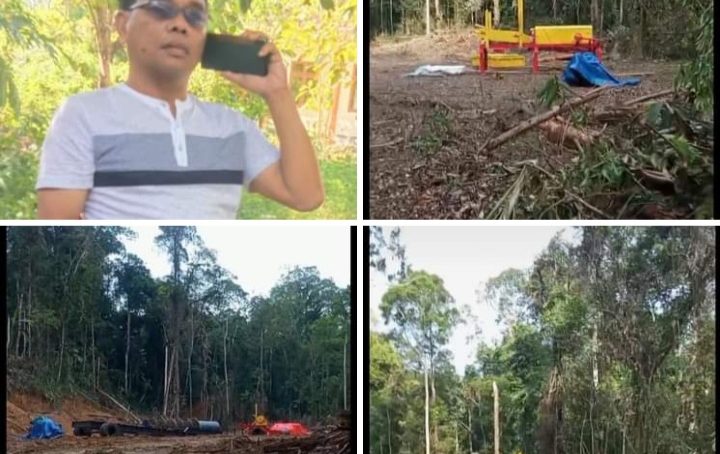 Dugaan Aktifitas PETI Di Wilayah PT LIL Marak, LPKP Bakal Adukan Perusahaan Sawit Ke Kementerian LHK