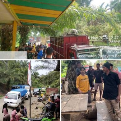 Illegal Logging Di Kawasan PT LIL Di Tertibkan, Ini Respon Pelaku Usaha