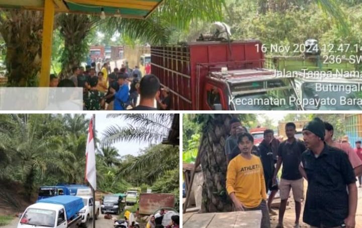 Illegal Logging Di Kawasan PT LIL Di Tertibkan, Ini Respon Pelaku Usaha