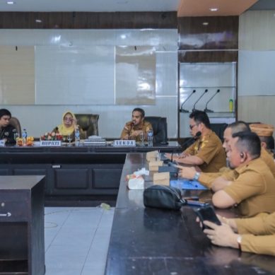 BPK Periksa Upaya Penanggulangan Bencana Banjir TA 2023