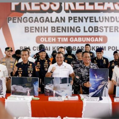 Bareskrim Polri Gagalkan Penyelundupan 151 Ribu Benih Lobster di Perairan Bintan