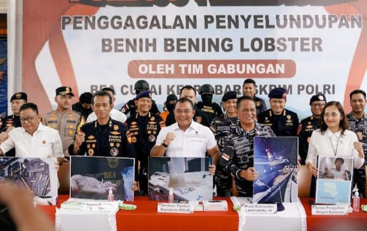 Bareskrim Polri Gagalkan Penyelundupan 151 Ribu Benih Lobster di Perairan Bintan
