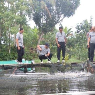 Kapolda Gorontalo Hadiri Panen Ikan Lele, Dukung Program Ketahanan Pangan Presiden
