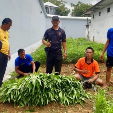Warga Binaan Rutan Sampang Geluti Sektor Pertanian