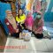 Gandeng Puskesmas Buntulia, PGP Lanjutkan Pemeriksaan Bumil Dan Anak Stunting