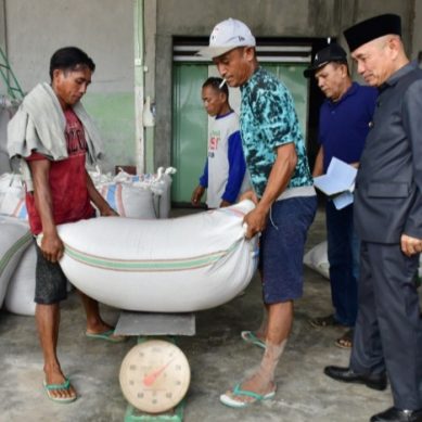 Bupati Saipul Mbuinga, Saksikan Pembelian Gabah Kering  Oleh Bulog