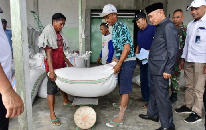 Bupati Saipul Mbuinga, Saksikan Pembelian Gabah Kering Oleh Bulog