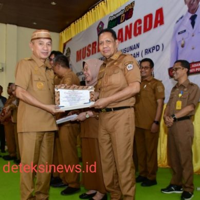 Bupati Saipul Mbuinga Beri penghargaan Perangkat Daerah Berinovasi