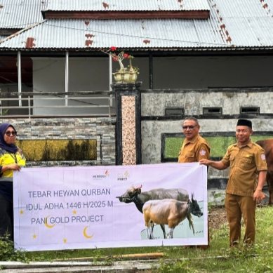 Tebar Hewan Qurban, PGP Bagikan 26 Ekor Sapi Pada Hari Raya Idul Adha 1446 H.