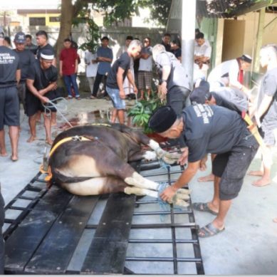 Idul Adha 1446 H, Polda Gorontalo Berbagi  Qurban 22 Ekor Sapi dan 3 Kambing