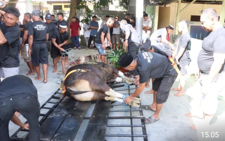 Idul Adha 1446 H, Polda Gorontalo Berbagi Qurban 22 Ekor Sapi dan 3 Kambing