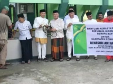 Bupati Saipul Mbuinga Serahkan Bantuan Sapi Dari Presiden Prabowo Subianto Ke BTM An Nur Marisa
