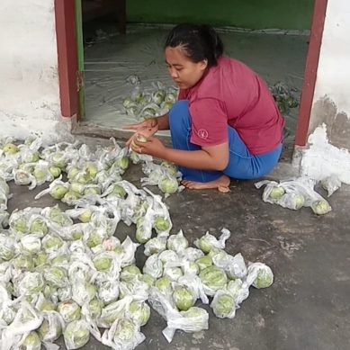 Pasar Jambu Kristal Desa Sumber Agung Tembus Manado.