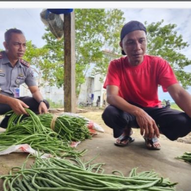 Hasil Pertanian Warga Binaan Lapas Pohuwato, Berkah Bagi Penjual Sayur Keliling