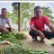 Hasil Pertanian Warga Binaan Lapas Pohuwato, Berkah Bagi Penjual Sayur Keliling