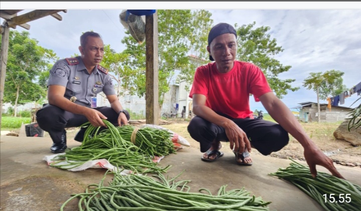 Hasil Pertanian Warga Binaan Lapas Pohuwato, Berkah Bagi Penjual Sayur Keliling
