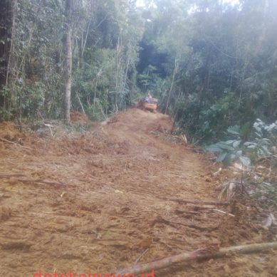 Tambang Ilegal di Busak 2 Diduga Masuk Kawasan Hutan Lindung