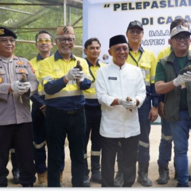 Aktif Dalam Upaya Konservasi, PT MGR Melepas 7 Ekor Burung Maleo Ke Habitat Alaminya