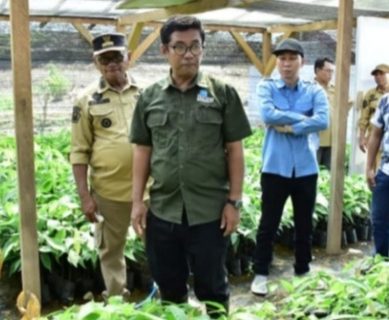 Bupati Pohuwato, Saipul A. Mbuinga, meninjau langsung Program Kakao Berkelanjutan